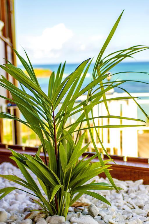 Hotel Le Manguier Morne Pavillon Luaran gambar