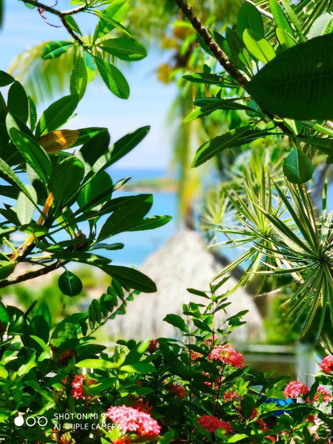 Hotel Le Manguier Morne Pavillon Luaran gambar